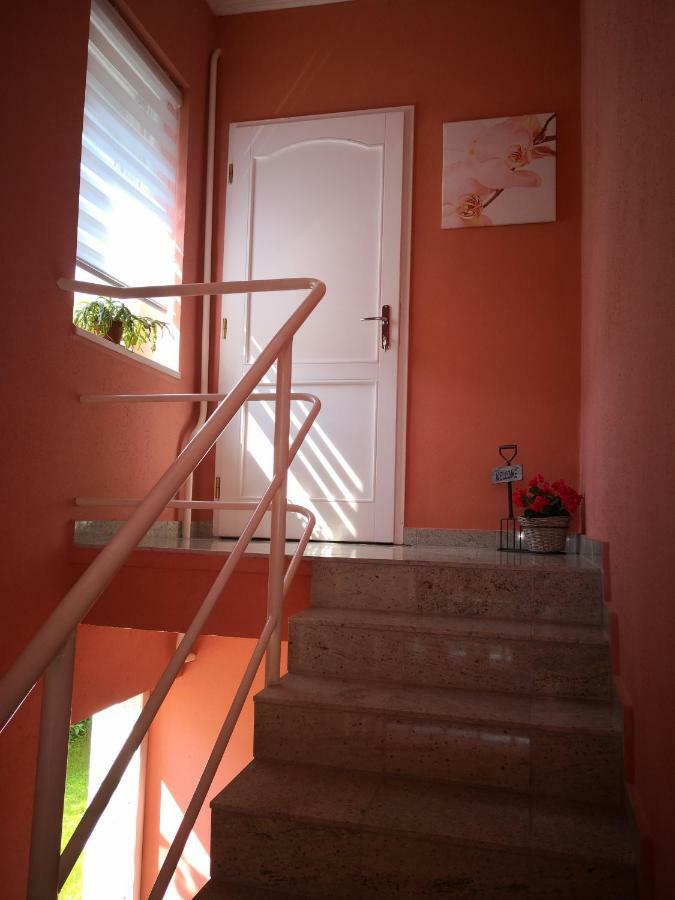 Kupola Apartman Сегед Екстериор снимка